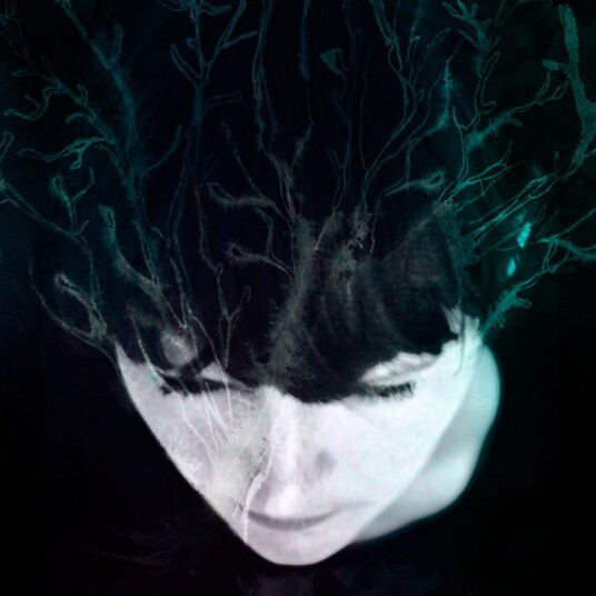Hanne Kolsto While We Still Have Light Vinyl Hanne Kolsto While We Still Have Light Vinyl