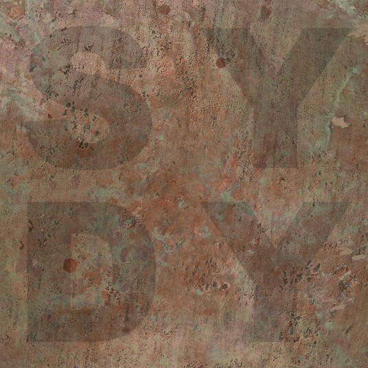 Shiny Darkly Bronze LP/Vinyl