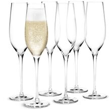 Holmegaard Cabernet Champagne 29 cl 6-pack 1 set