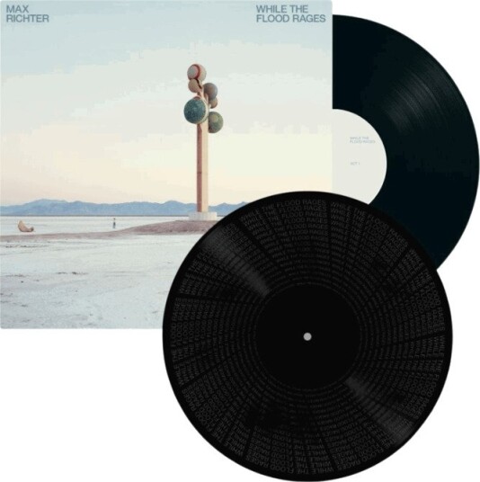 Max Richter While The Flood Rages Vinyl