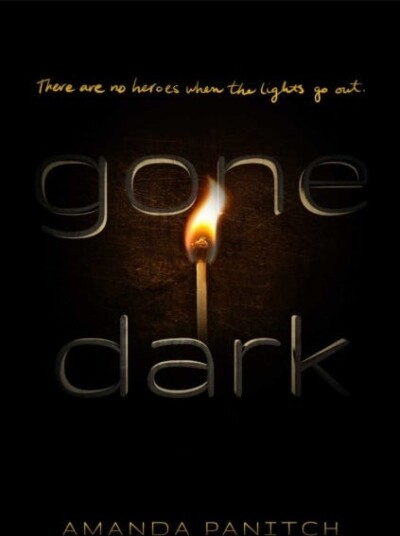 Gone Dark Av Amanda Panitch