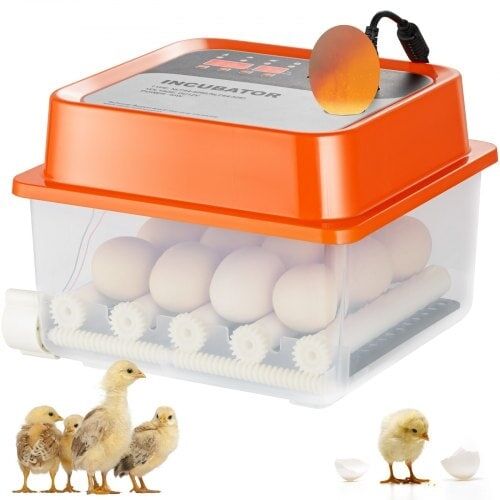 Egginkubator Rugemaskin for klekkeegg Auto Egg Turning 12 Eggs