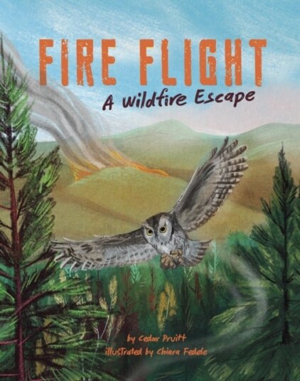 Fire Flight Fire Flight