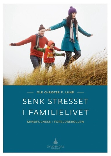 Senk stresset i familielivet: Mindfulness for foreldre med Øvelser og Verktøykasse
