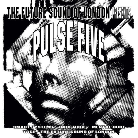 Diverse Artister Pulse 5 CD