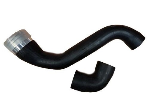 ladeluftslange BUGIAD 88610