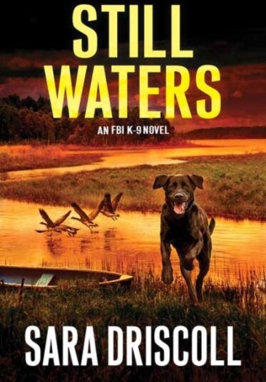Still Waters Av Sara Driscoll