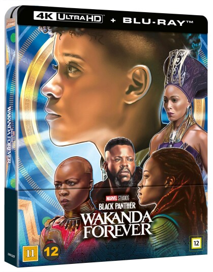 Black Panther 2 Wakanda Forever Black Panther 2 Wakanda Forever