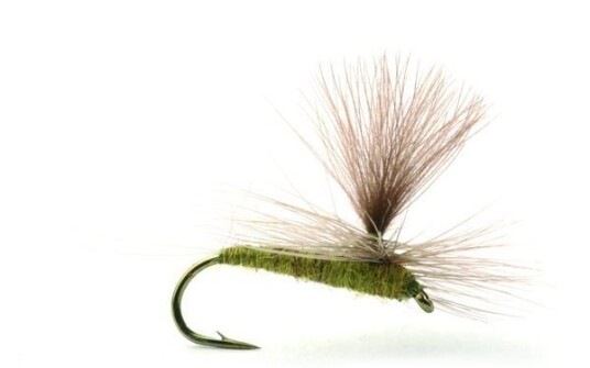 Umpqua Flies Baetis Medium