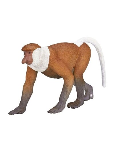 Mojo   Wildlife Proboscis Monkey