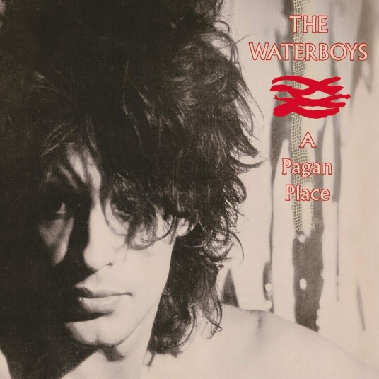 The Waterboys  A Pagan Place  CD