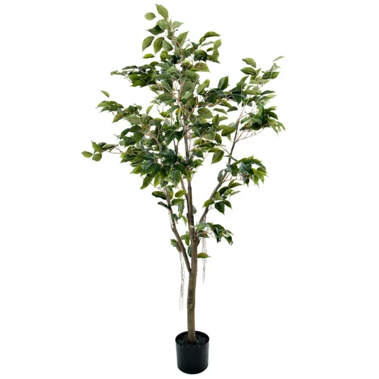 Mr Plant Benjaminfiken 180 cm Mr Plant Benjaminfiken 180 cm