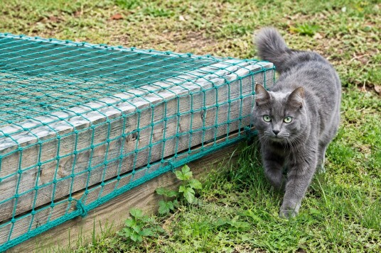 Sandkassenett/Kattenett inkl. strikk