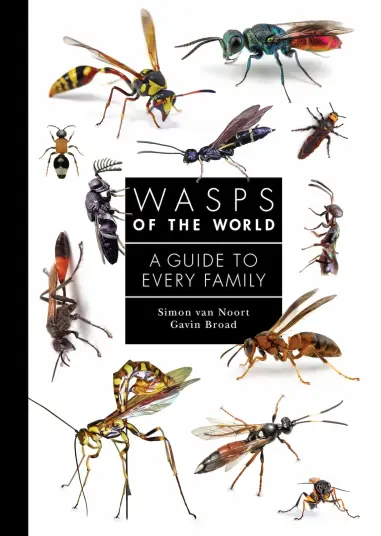 Wasps of the World Wasps of the World