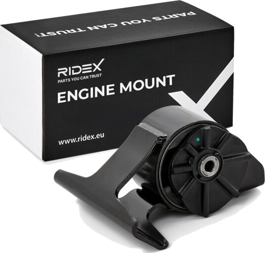 RIDEX 247E1293 Motorfeste