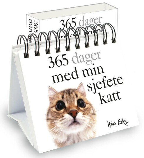 365 Dager Med Min Sjefete Katt Av Pam Brown 365 Dager Med Min Sjefete Katt Av Pam Brown