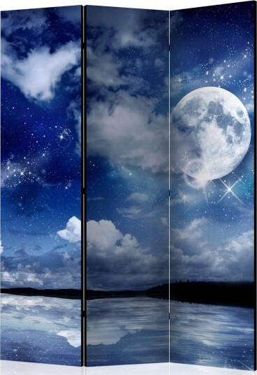 Kadira Rumsavdelare 135x172 cm VALUE_MISSING_1 -