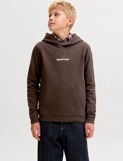 Jack & Jones Jornorrebro Emb Sweat Hood Noos Jnr Brown 128
