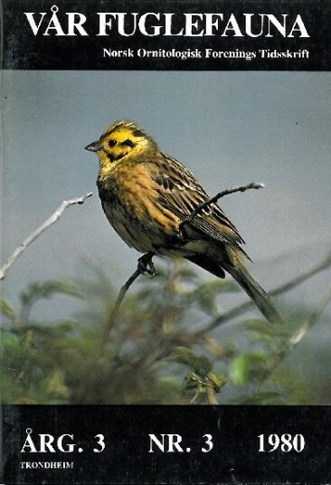 Norsk Ornitologisk Forening Vår Fuglefauna   1980 3 årgang 3