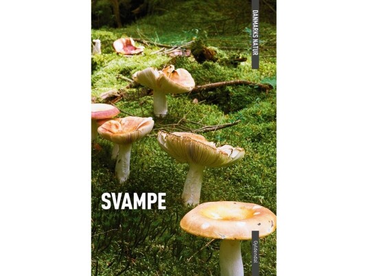 Danmarks Natur Svampe | Torben Gang Rasmussen | Språk: Dansk