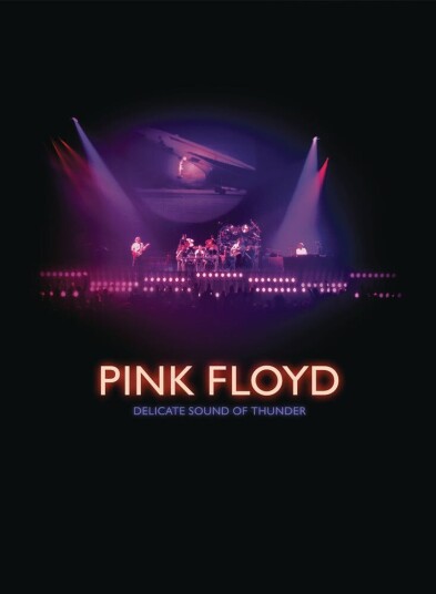 Delicate Sound Of Thunder DVD