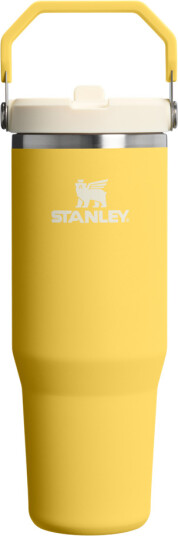 Stanley Iceflow Flip Straw