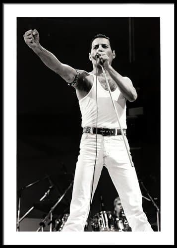 Freddie Mercury No4 Plakat Freddie Mercury No4 Plakat