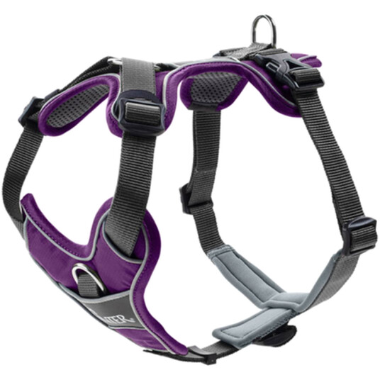 Dog Harness Divo Purple X-Small
