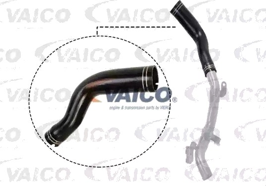 VAICO V24 0694 Ladeluftslange