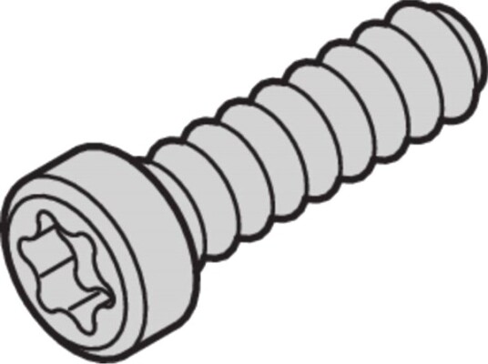 Schroff Pannehodeskrue Med Torx Likoschr Torx.2.5X9.3 100 Stk 21500039 21500039