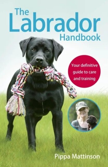 The Labrador Handbook Av Pippa Mattinson The Labrador Handbook Av Pippa Mattinson