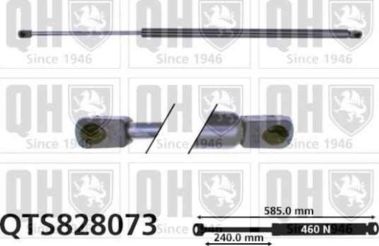 QUINTON HAZELL QTS828073 Baklukedemper