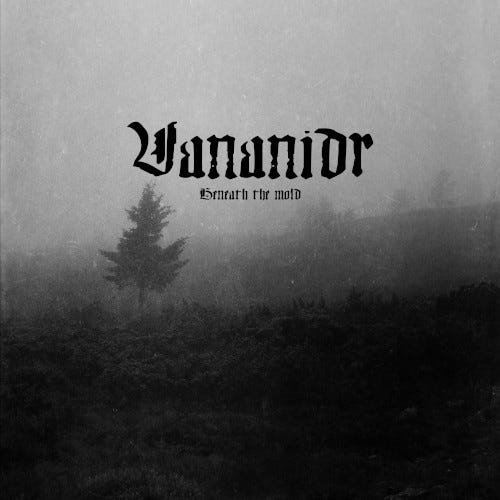 Vananidr Beneath The Mold Kassett