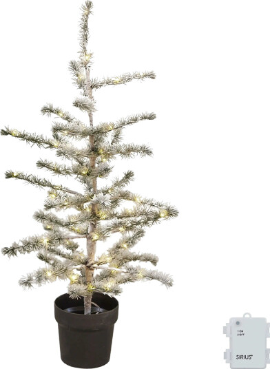 Sirius Home Alfred Cedertree - Green - H:90CM Sirius Home Alfred Cedertree - Green - H:90CM