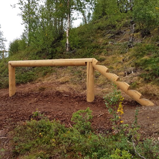 Balanseelement med oppgang