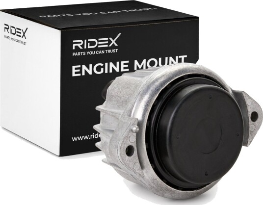 RIDEX 247E0169 Motorfeste