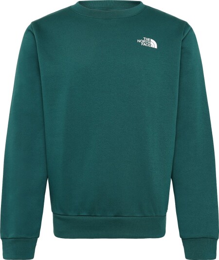 The North Face M Evolution Box Nse Regular Crew Green XS
