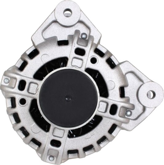 Dynamo WALKER WAL01901