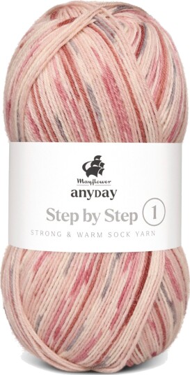 Mayflower ANYDAY Step by Step 1