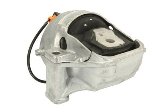 Motorfeste REINHOCH RH11-0079