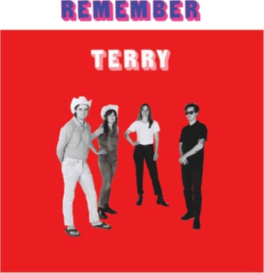 Terry Remember Terry Uk Vinyl