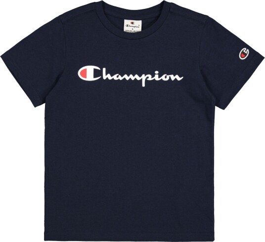 Champion ICONS Crewneck T-Shirt Gutt Sky Captain L