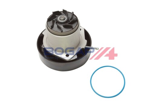 Vannpumpe BOGAP A4234140 Vannpumpe BOGAP A4234140
