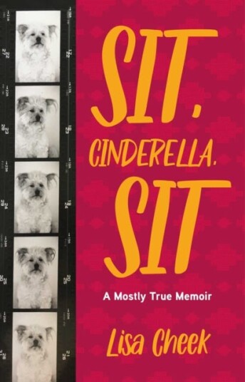 Sit, Cinderella, Sit  A Mostly True Memoir