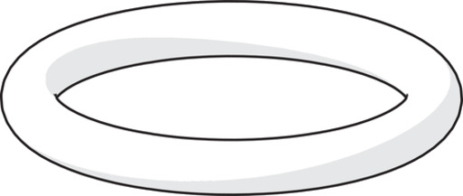 O-RING