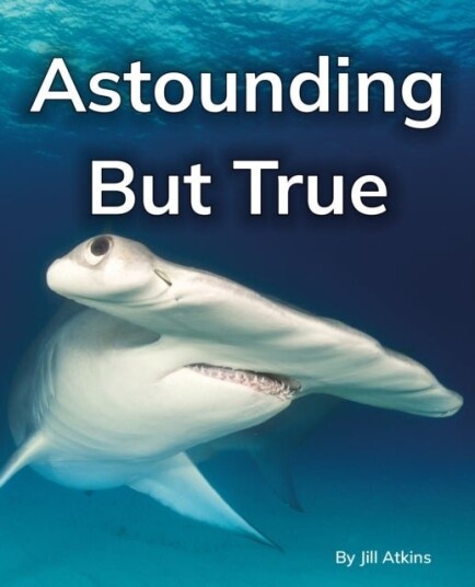 Astounding But True Astounding But True
