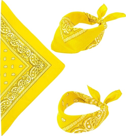 Widmann Gul Paisley Bandana
