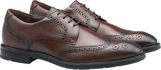 Lloyd X Motion 140 Brown 40.5
