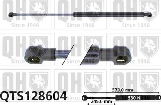 QUINTON HAZELL QTS128604 Baklukedemper
