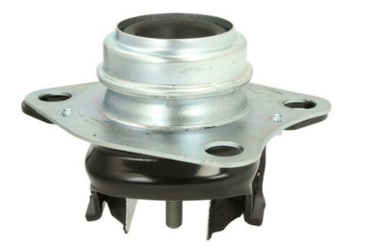 Motorfeste REINHOCH RH11-2018 Motorfeste REINHOCH RH11-2018